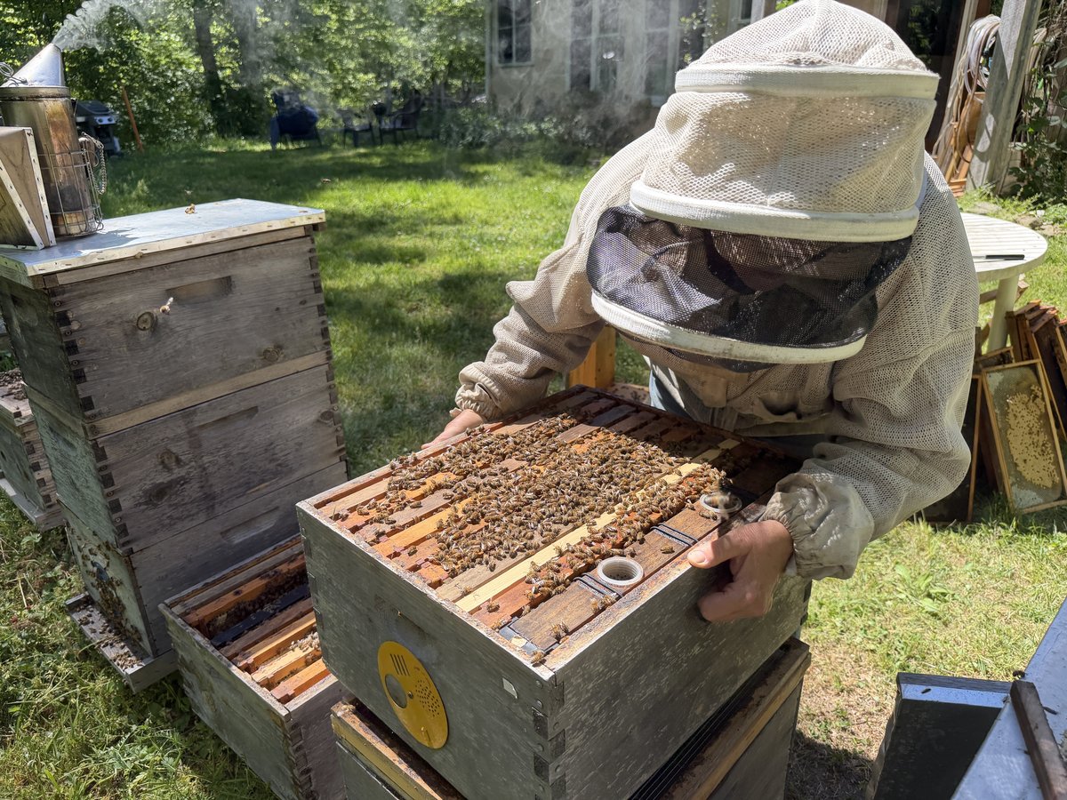 Kory Goldsmith placing the upper deep on hive 132 cell builder